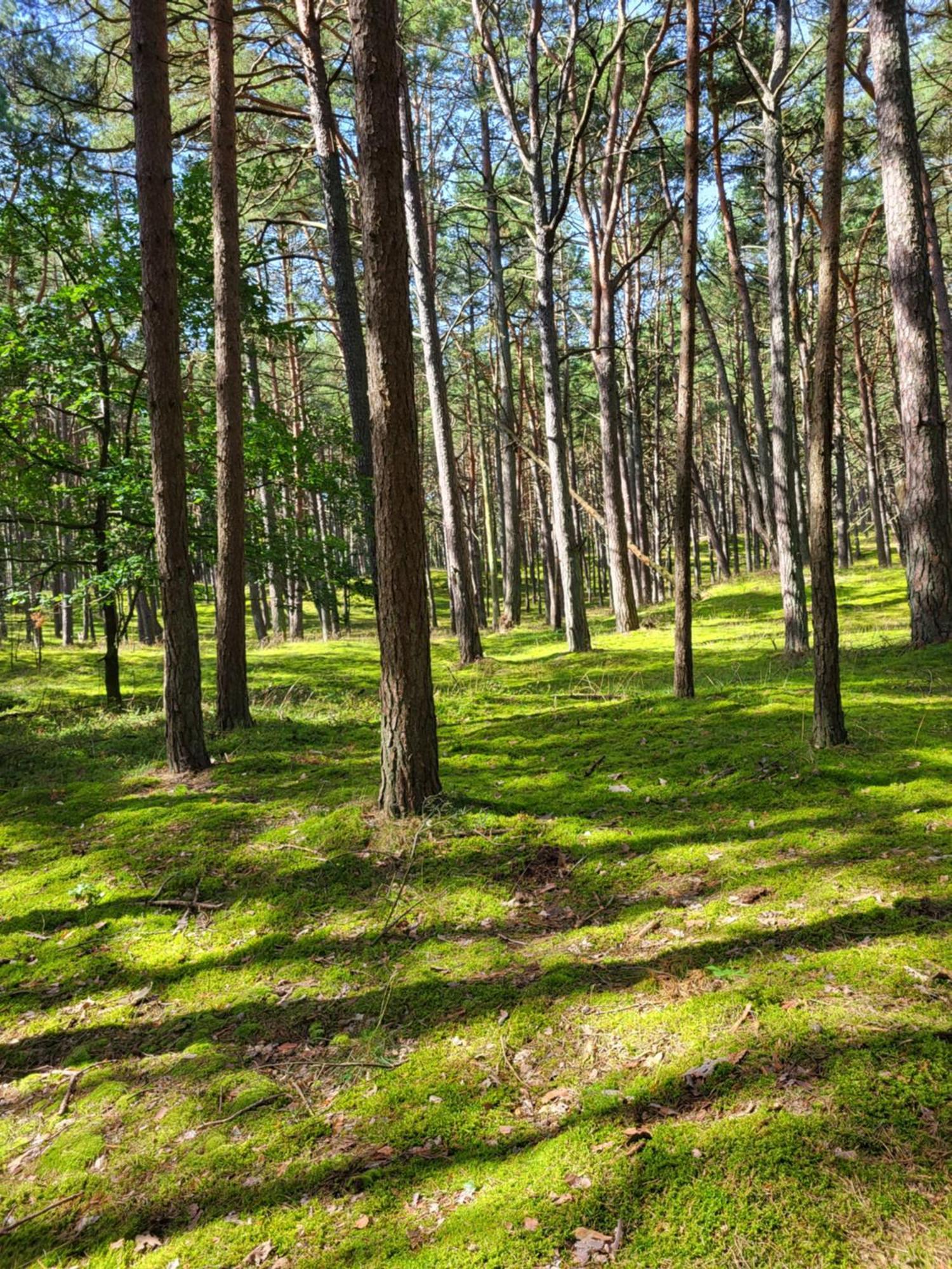 Apartamenty Promyk Wisełka Exteriér fotografie